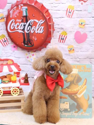 20230901茶々丸くん